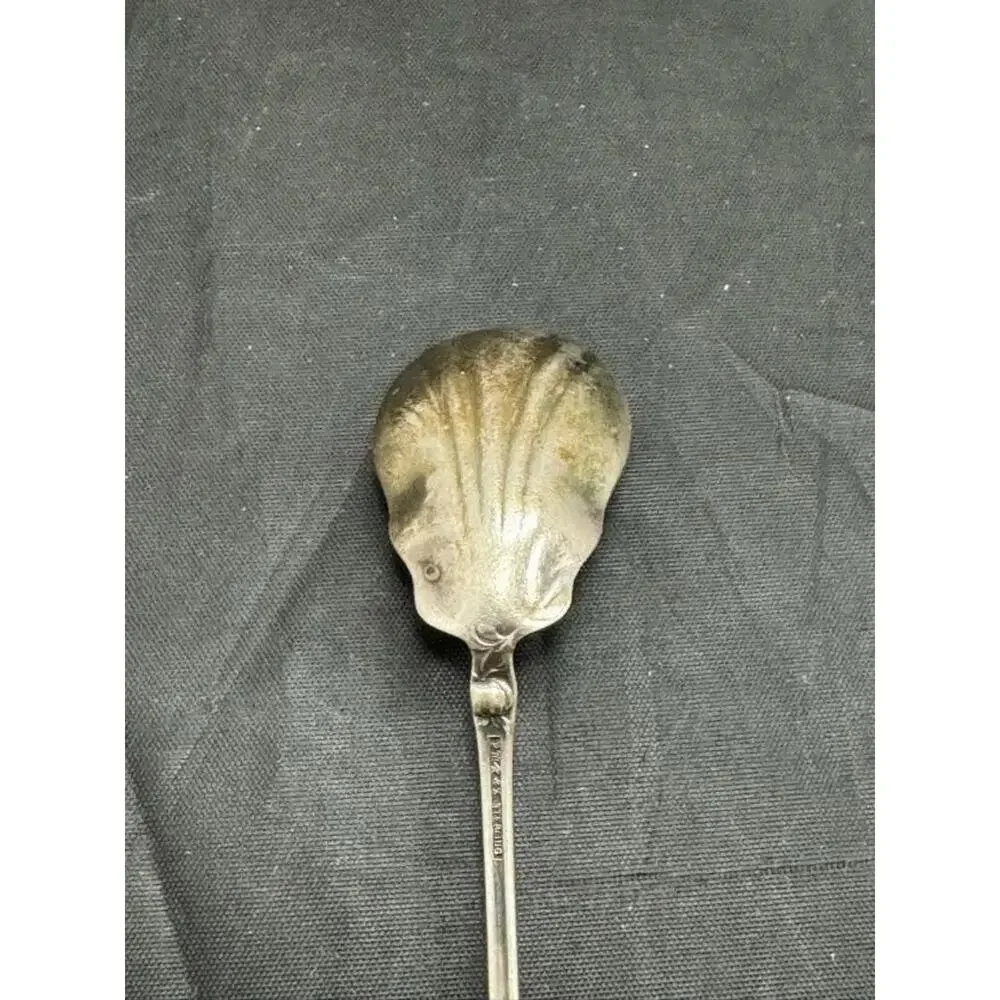 Antique Wallace Sterling Silver 1902 Floral Berry Sugar Spoon Shell Art Nouveau